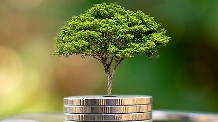 Afbeelding van een stapeltje muntgeld waar een boompje uit groeit