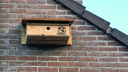 Vogelnestkast aan een gevel