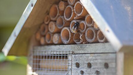 Insectenhotel