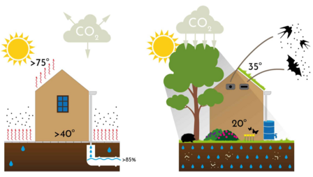 Infographic met links een huis zonder groene tuin, die erg warm wordt en waarbij het water grotendeels via het riool wordt afgevoerd. Rechts een afbeelding van een huis met een groene tuin, die veel koeler blijft, waar veel meer dieren op afkomen en waar water afgevoerd wordt via de bodem.