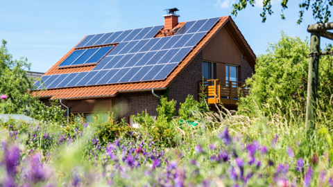 Vrijstaande woning met zonnepanelen op het dak en veel groen rond het huis.